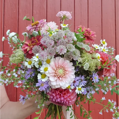 Heiraten und Feiern 13