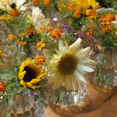 Heiraten und Feiern 15